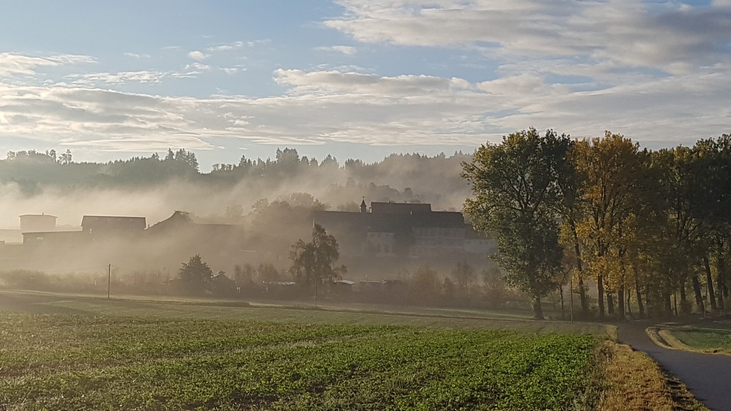 Tempelhof News Herbst 2023