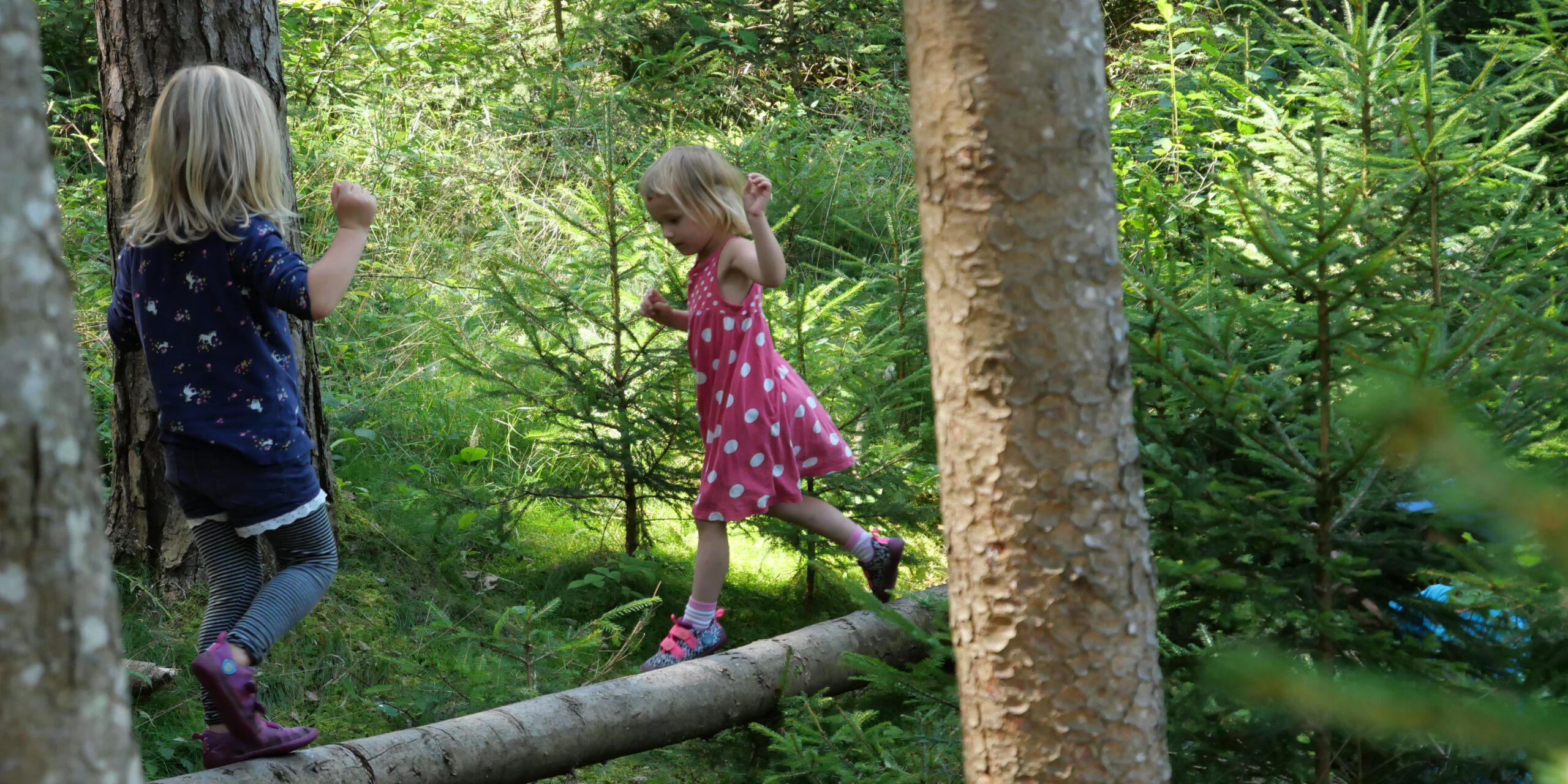 Waldkindergarten lädt ein