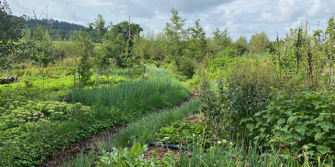 Essbarer Waldgarten