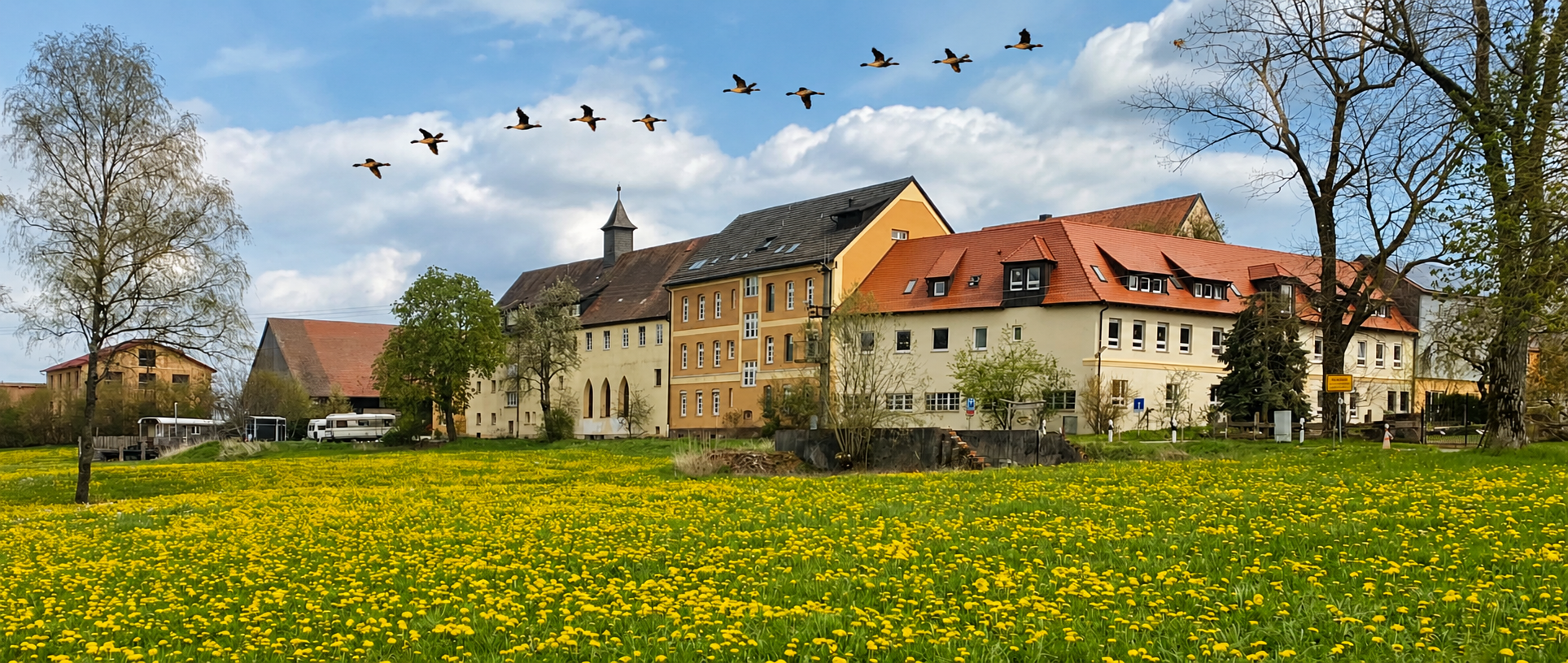 Insel für Zugvögel